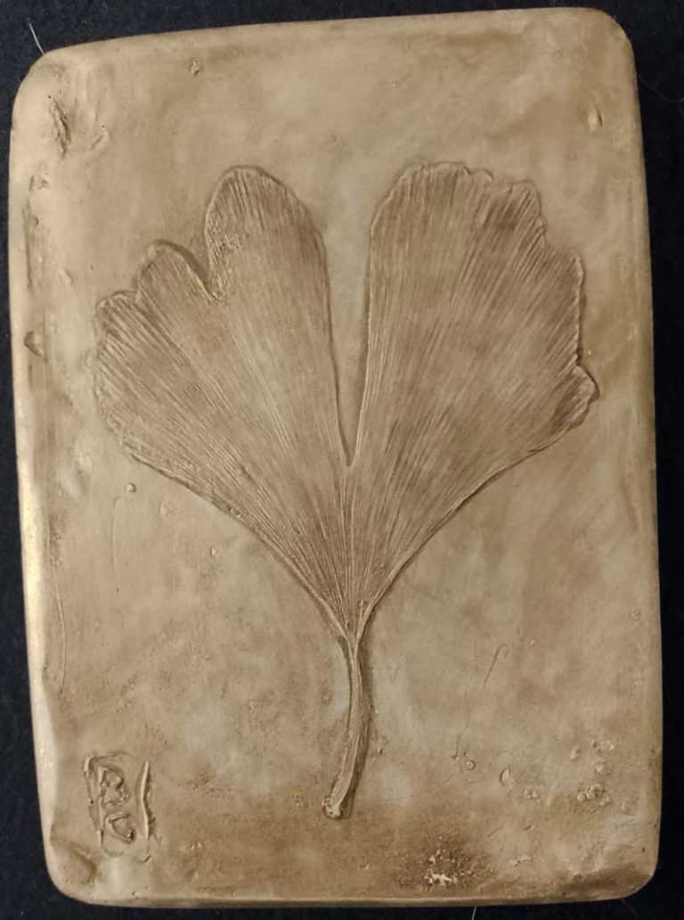 calco botamico foglia Ginko
