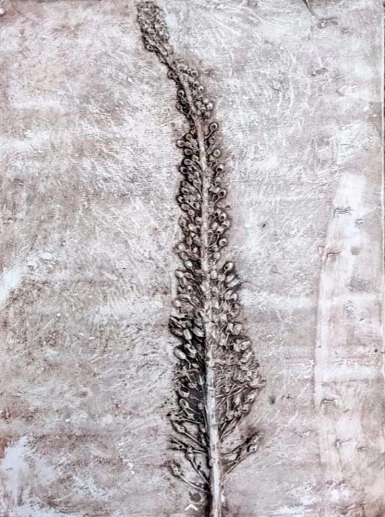 calco botamico foglia particolare