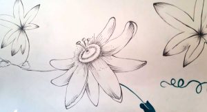 decoro murale - appartamento privato